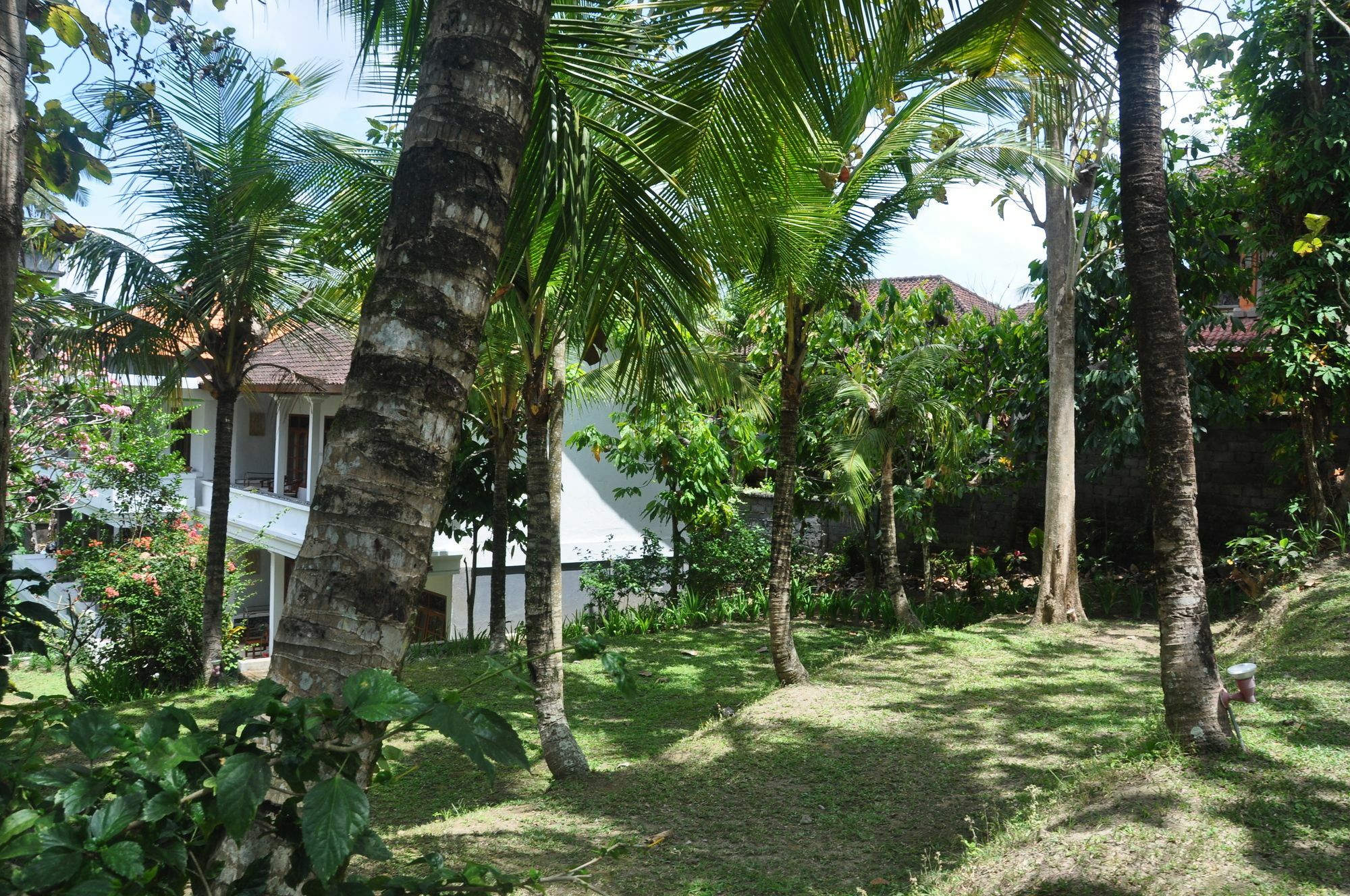 אובוד Argasoka Bungalows מראה חיצוני תמונה